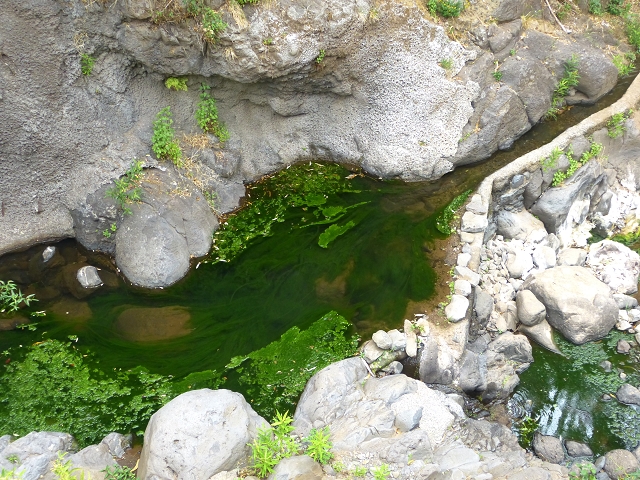 24.07.2014 Levada do Canico and Levada dos Tornos (south) — Side trip to the Reservatorio do Porto Novo — photo 8