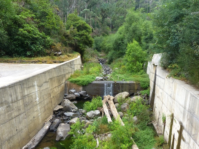 24.07.2014 Levada do Canico and Levada dos Tornos (south) — Side trip to the Reservatorio do Porto Novo — photo 12