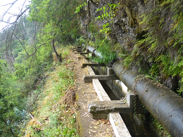 24.07.2014 Levada do Canico and Levada dos Tornos (south) — Back to the start — photo 2