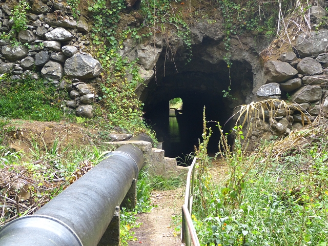 24.07.2014 Levada do Canico and Levada dos Tornos (south) — Back to the start — photo 4