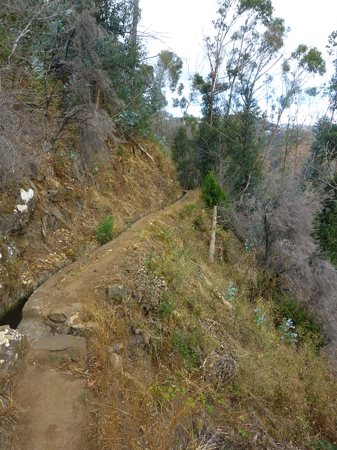 24.07.2014 Levada do Canico and Levada dos Tornos (south) — From the end to the small tunnel — photo 16