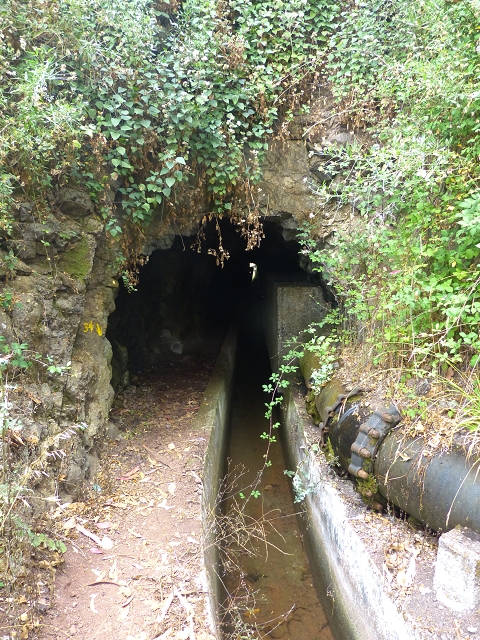 24.07.2014 Levada do Canico and Levada dos Tornos (south) — Back to the start — photo 7