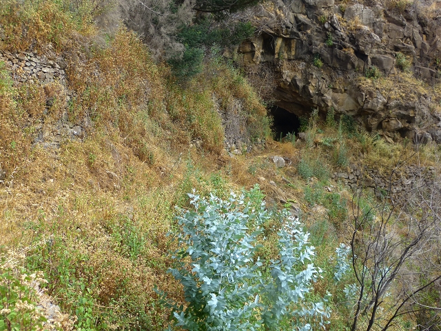 24.07.2014 Levada do Canico and Levada dos Tornos (south) — From the end to the small tunnel — photo 18