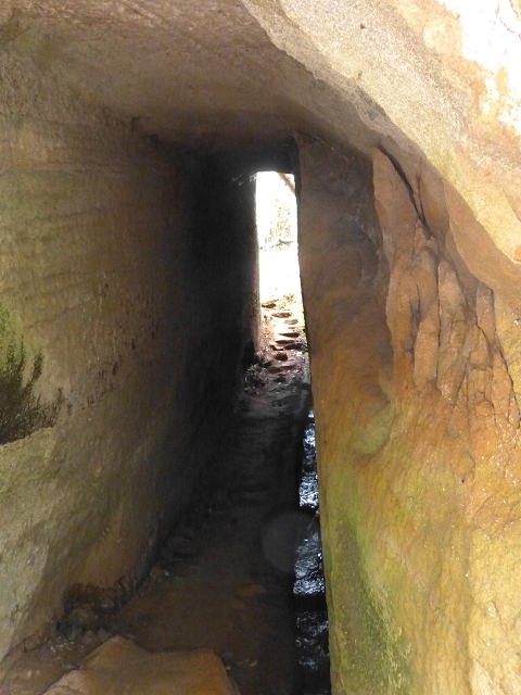 24.07.2014 Levada do Canico and Levada dos Tornos (south) — From the end to the small tunnel — photo 19