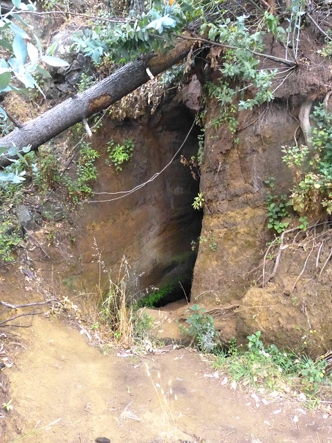 24.07.2014 Levada do Canico and Levada dos Tornos (south) — From the end to the small tunnel — photo 20