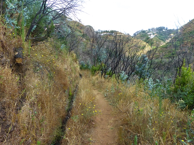 24.07.2014 Levada do Canico and Levada dos Tornos (south) — On to the levada bridge — photo 1