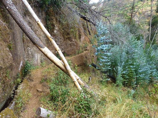 24.07.2014 Levada do Canico and Levada dos Tornos (south) — On to the levada bridge — photo 3