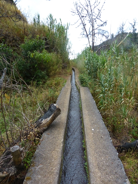 24.07.2014 Levada do Canico and Levada dos Tornos (south) — On to the levada bridge — photo 8