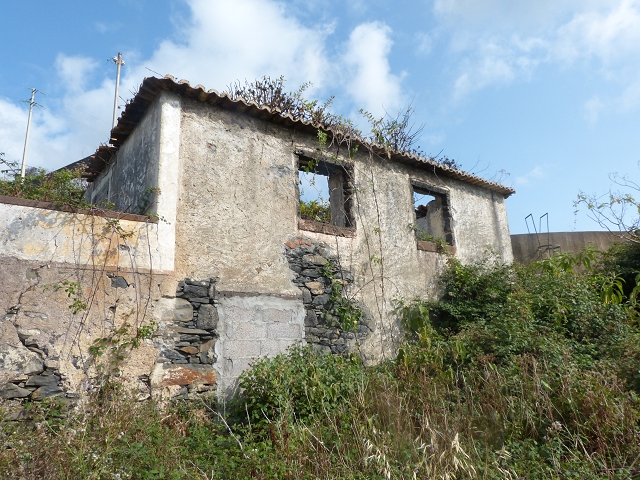 24.07.2014 Levada do Canico and Levada dos Tornos (south) — From the end to the small tunnel — photo 3
