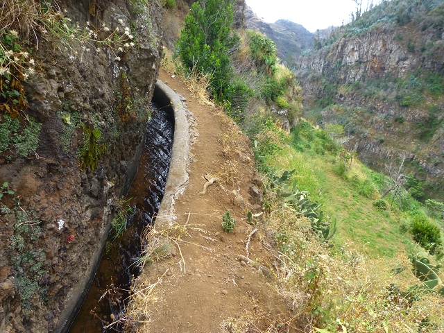 24.07.2014 Levada do Canico and Levada dos Tornos (south) — To the turn-off for Camacha — photo 2