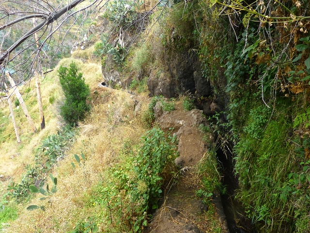 24.07.2014 Levada do Canico and Levada dos Tornos (south) — To the turn-off for Camacha — photo 3