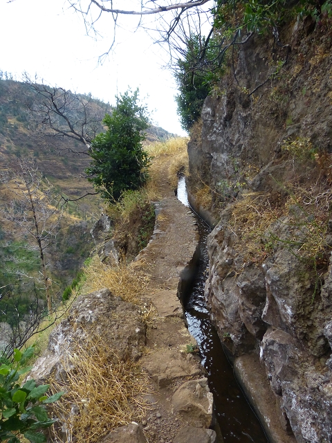 24.07.2014 Levada do Canico and Levada dos Tornos (south) — To the turn-off for Camacha — photo 6