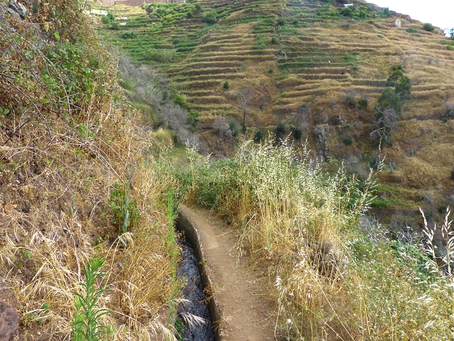 24.07.2014 Levada do Canico and Levada dos Tornos (south) — To the turn-off for Camacha — photo 9