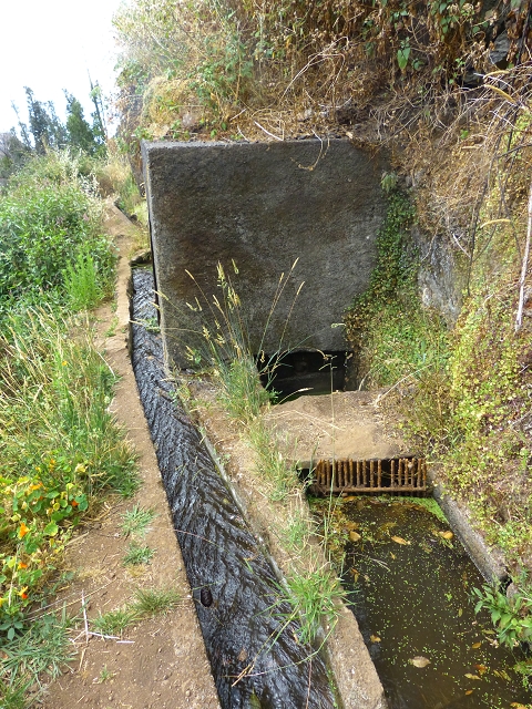 24.07.2014 Levada do Canico and Levada dos Tornos (south) — To the turn-off for Camacha — photo 10