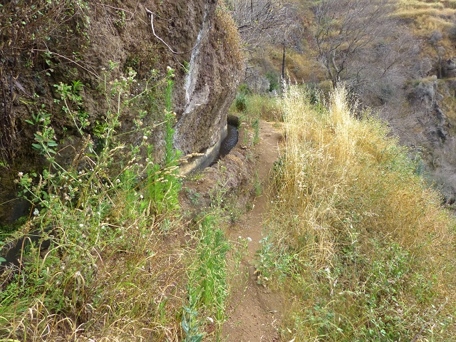 24.07.2014 Levada do Canico and Levada dos Tornos (south) — To the turn-off for Camacha — photo 11