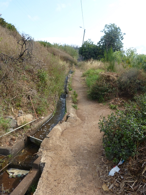 24.07.2014 Levada do Canico and Levada dos Tornos (south) — From the end to the small tunnel — photo 4