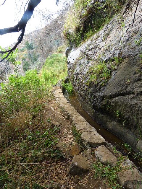 24.07.2014 Levada do Canico and Levada dos Tornos (south) — To the turn-off for Camacha — photo 12