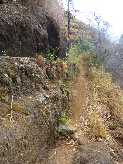 24.07.2014 Levada do Canico and Levada dos Tornos (south) — To the turn-off for Camacha — photo 13