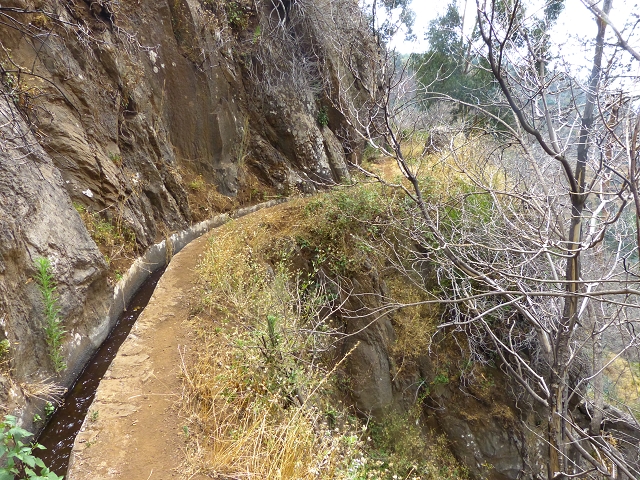 24.07.2014 Levada do Canico and Levada dos Tornos (south) — To the turn-off for Camacha — photo 14