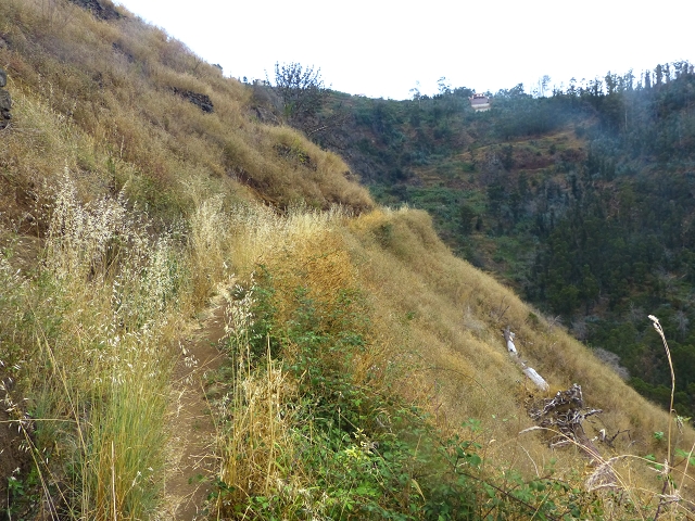 24.07.2014 Levada do Canico and Levada dos Tornos (south) — To the turn-off for Camacha — photo 16