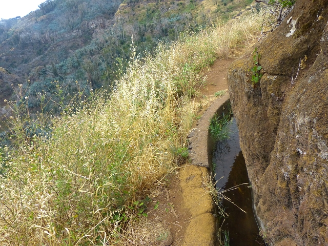 24.07.2014 Levada do Canico and Levada dos Tornos (south) — To the turn-off for Camacha — photo 17