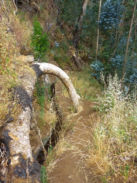 24.07.2014 Levada do Canico and Levada dos Tornos (south) — To the turn-off for Camacha — photo 18