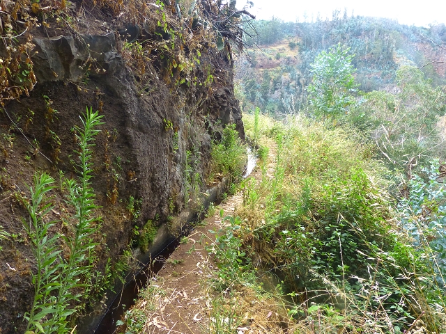 24.07.2014 Levada do Canico and Levada dos Tornos (south) — To the turn-off for Camacha — photo 19