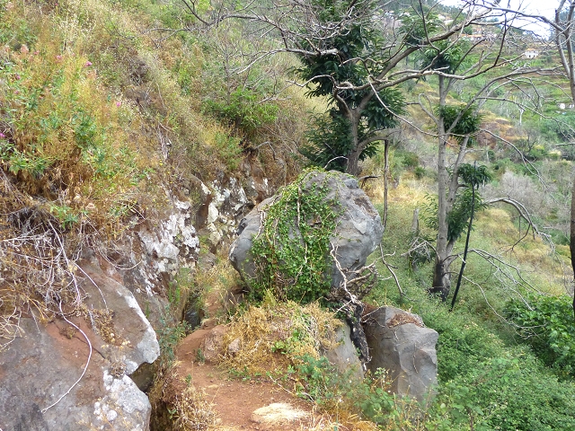 24.07.2014 Levada do Canico and Levada dos Tornos (south) — To the turn-off for Camacha — photo 22