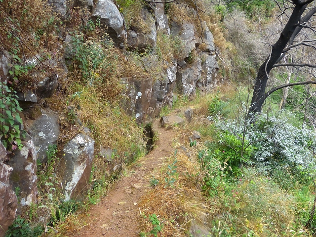 24.07.2014 Levada do Canico and Levada dos Tornos (south) — To the turn-off for Camacha — photo 23