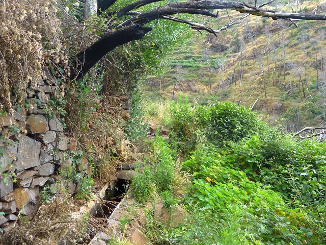 24.07.2014 Levada do Canico and Levada dos Tornos (south) — To the turn-off for Camacha — photo 24