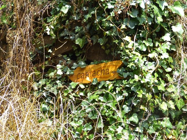 24.07.2014 Levada do Canico and Levada dos Tornos (south) — To the turn-off for Camacha — photo 25