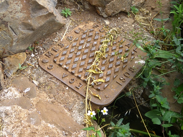 24.07.2014 Levada do Canico and Levada dos Tornos (south) — To the waterfall — photo 1