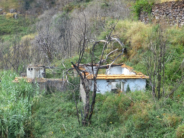 24.07.2014 Levada do Canico and Levada dos Tornos (south) — To the waterfall — photo 2