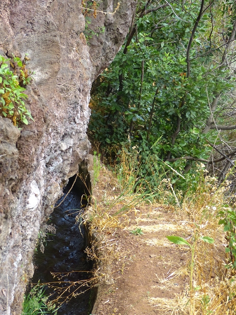 24.07.2014 Levada do Canico and Levada dos Tornos (south) — To the waterfall — photo 4