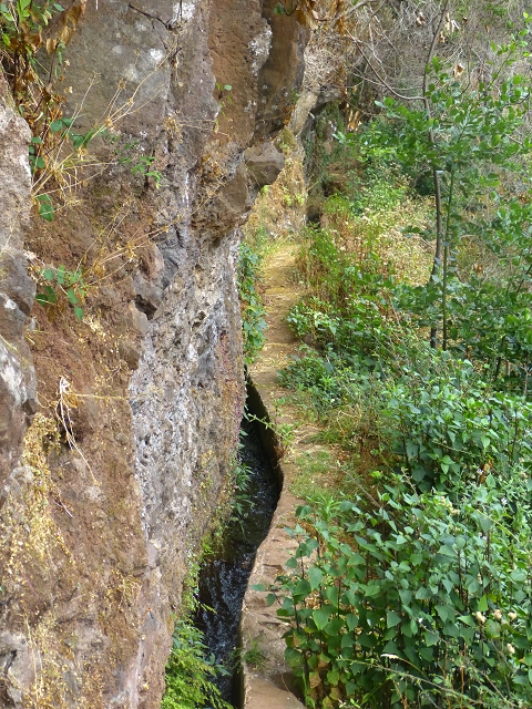 24.07.2014 Levada do Canico and Levada dos Tornos (south) — To the waterfall — photo 5