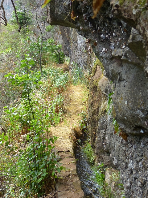 24.07.2014 Levada do Canico and Levada dos Tornos (south) — To the waterfall — photo 6