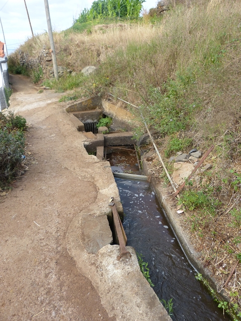 24.07.2014 Levada do Canico and Levada dos Tornos (south) — From the end to the small tunnel — photo 6