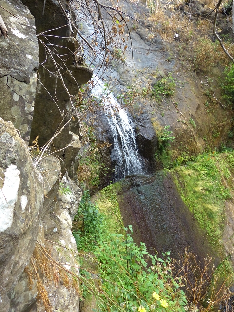 24.07.2014 Levada do Canico and Levada dos Tornos (south) — To the waterfall — photo 7