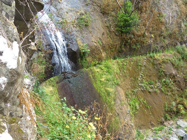 24.07.2014 Levada do Canico and Levada dos Tornos (south) — To the waterfall — photo 8