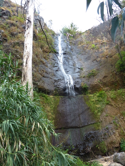 24.07.2014 Levada do Canico and Levada dos Tornos (south) — To the waterfall — photo 9