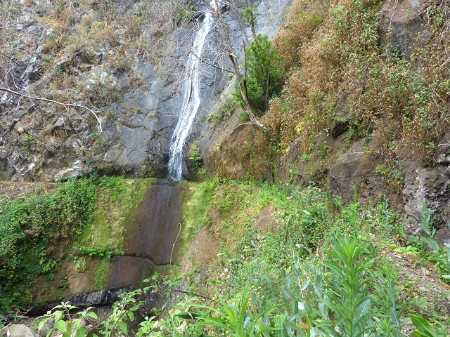 24.07.2014 Levada do Canico and Levada dos Tornos (south) — To the waterfall — photo 10