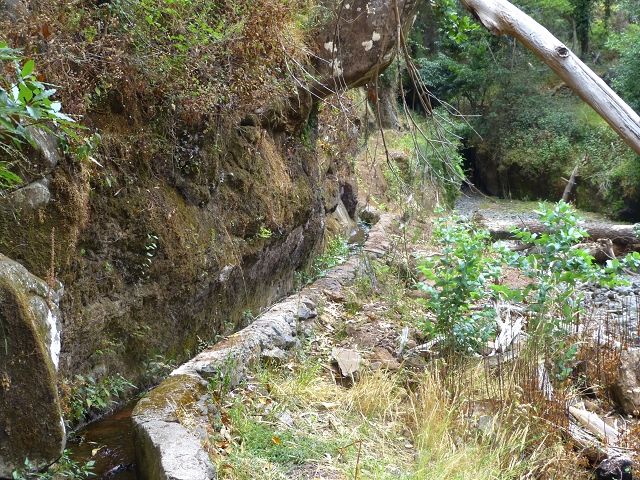 24.07.2014 Levada do Canico and Levada dos Tornos (south) — To the Madre — photo 1