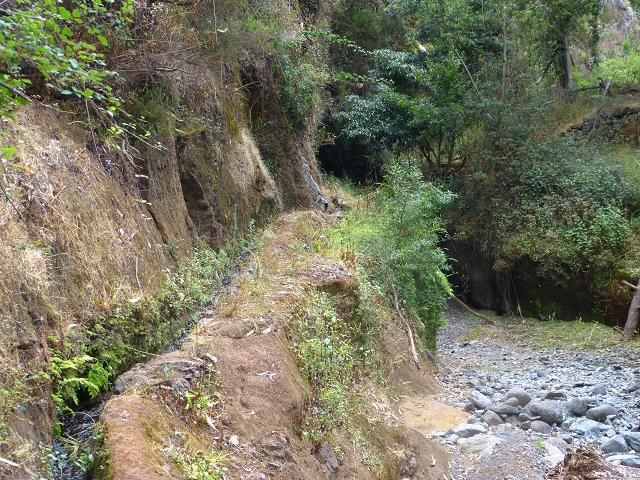 24.07.2014 Levada do Canico and Levada dos Tornos (south) — To the Madre — photo 2