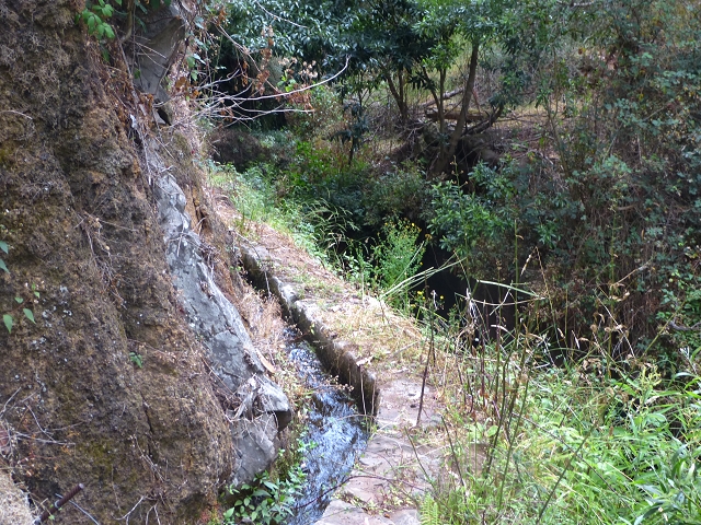24.07.2014 Levada do Canico and Levada dos Tornos (south) — To the Madre — photo 3