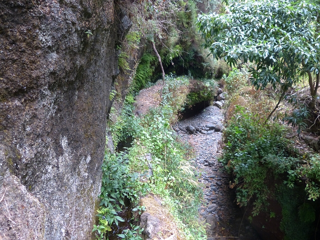 24.07.2014 Levada do Canico and Levada dos Tornos (south) — To the Madre — photo 4