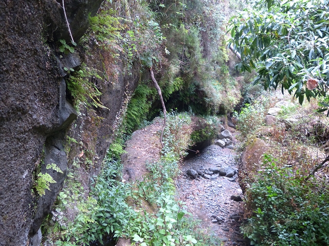 24.07.2014 Levada do Canico and Levada dos Tornos (south) — To the Madre — photo 5