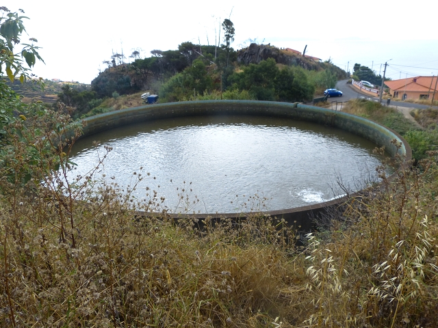 24.07.2014 Levada do Canico and Levada dos Tornos (south) — From the end to the small tunnel — photo 7