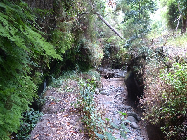 24.07.2014 Levada do Canico and Levada dos Tornos (south) — To the Madre — photo 6