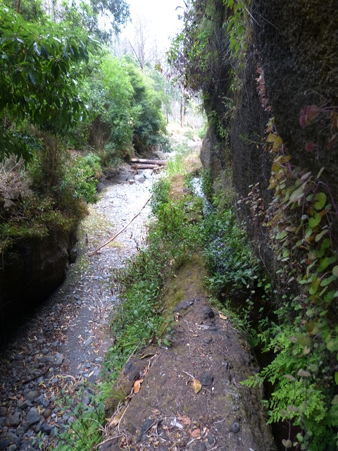 24.07.2014 Levada do Canico and Levada dos Tornos (south) — To the Madre — photo 8