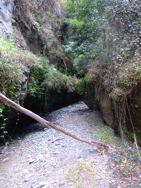 24.07.2014 Levada do Canico and Levada dos Tornos (south) — To the Madre — photo 9